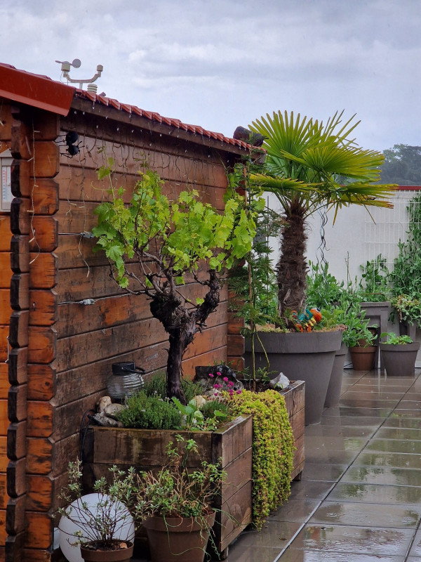 Aménagement d'une terrasse à Rillieux la Pape